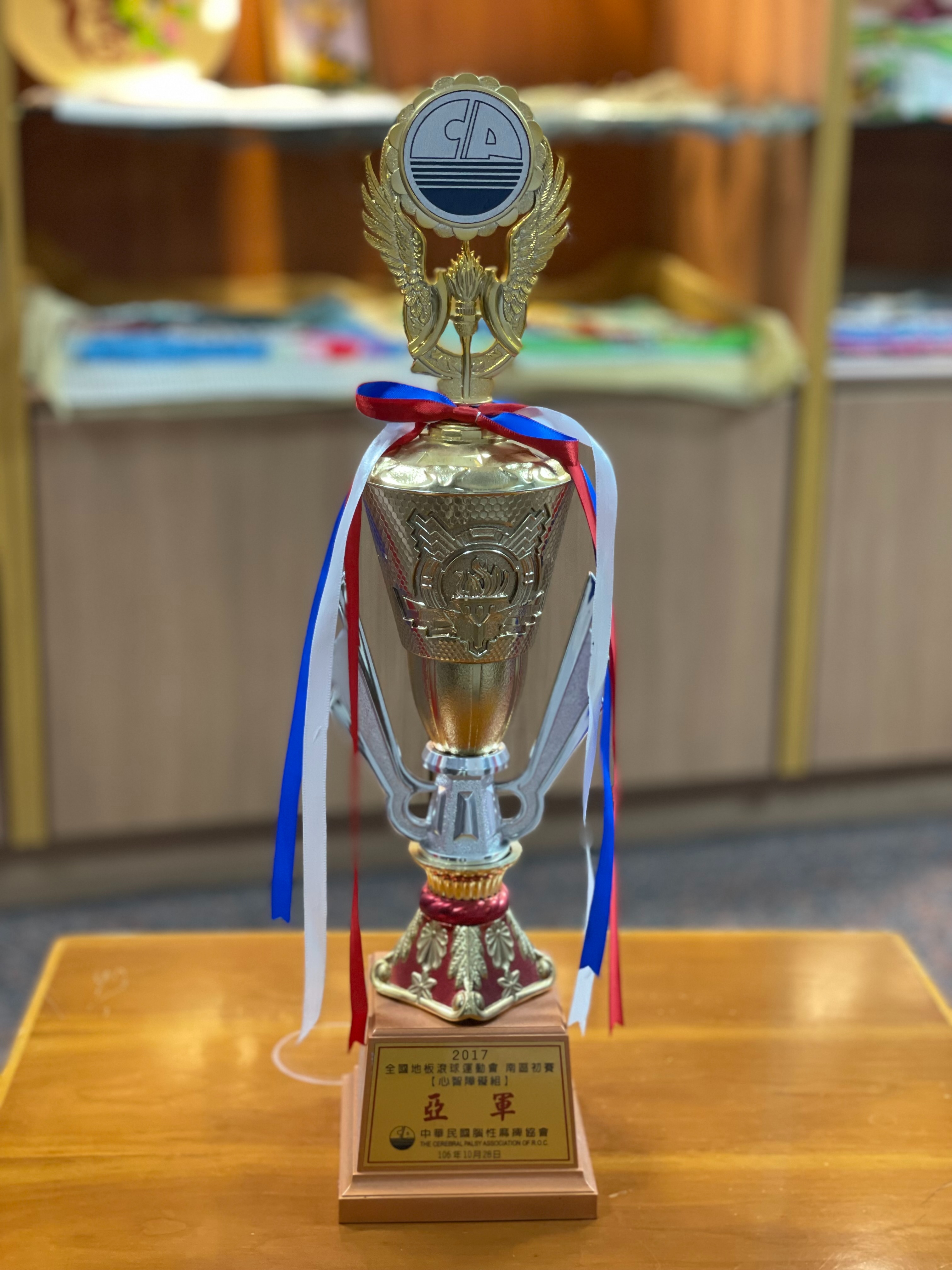 2017全國地板滾球運動-南區初賽  心智障礙組亞軍