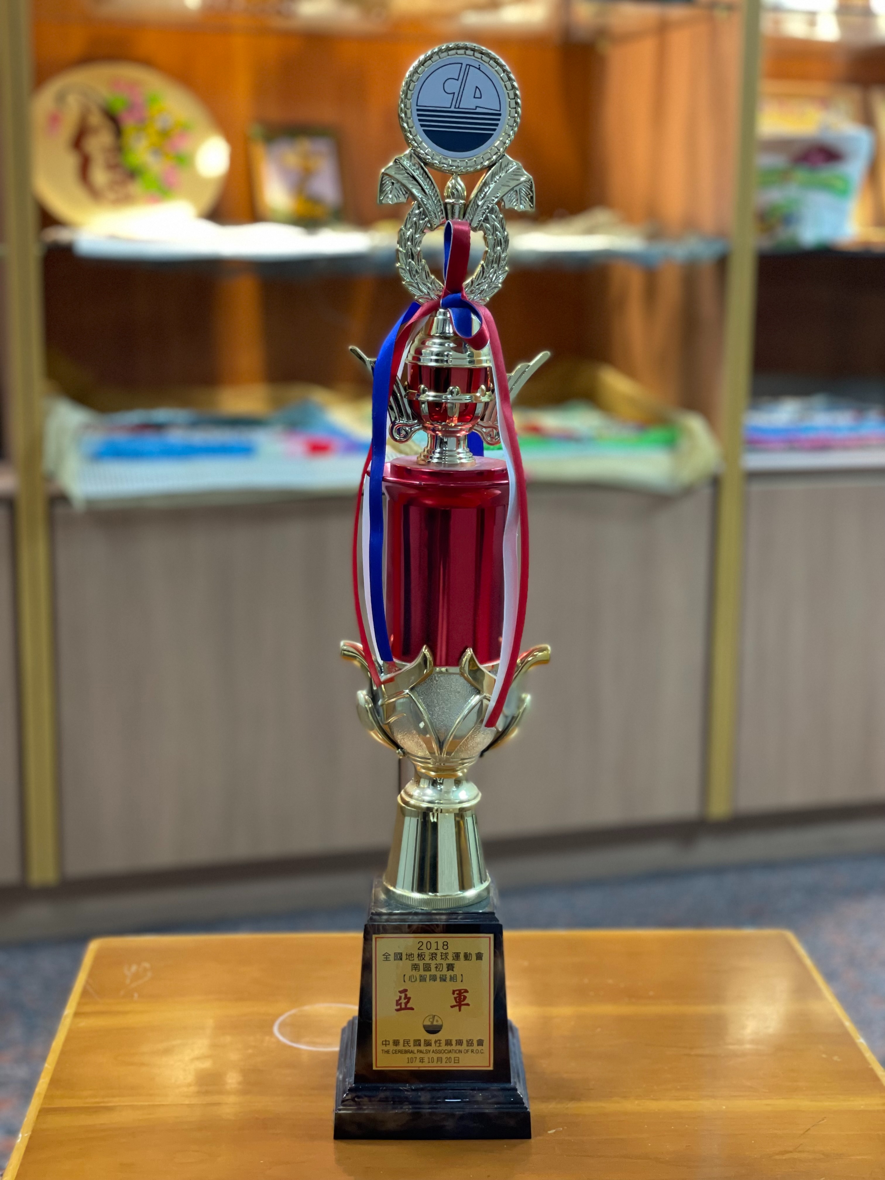 2018全國地板滾球運動-南區初賽  心智障礙組亞軍