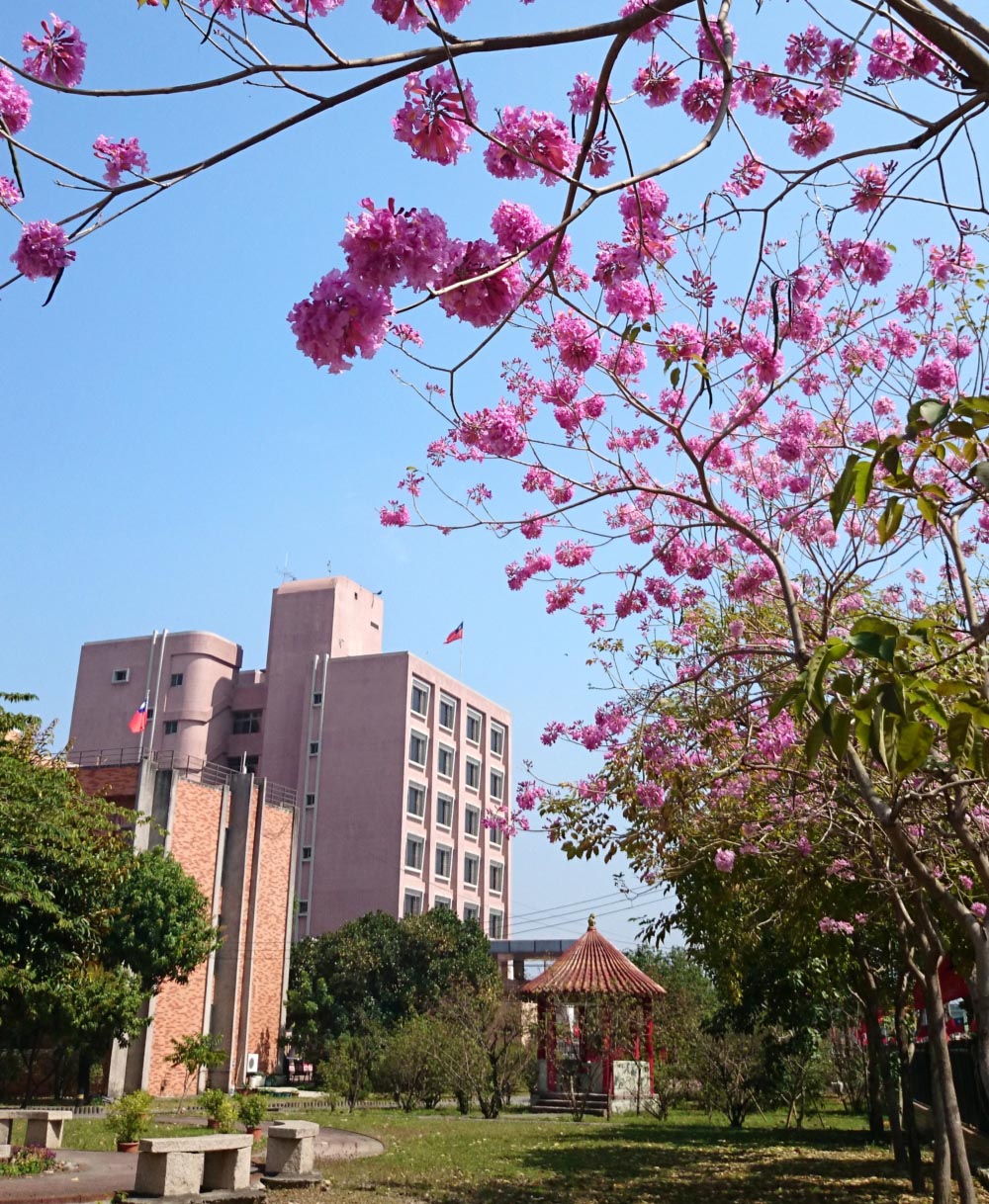 本家願景