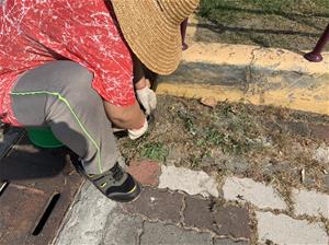 復健步驟1：手工除草