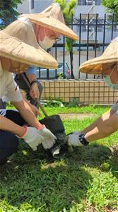 董事長王敬豪、執行長林國慶、院長鍾偉倫一起合作將樹固定並將根埋好